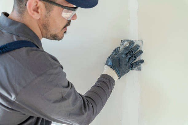 Best Drywall Patching  in USA